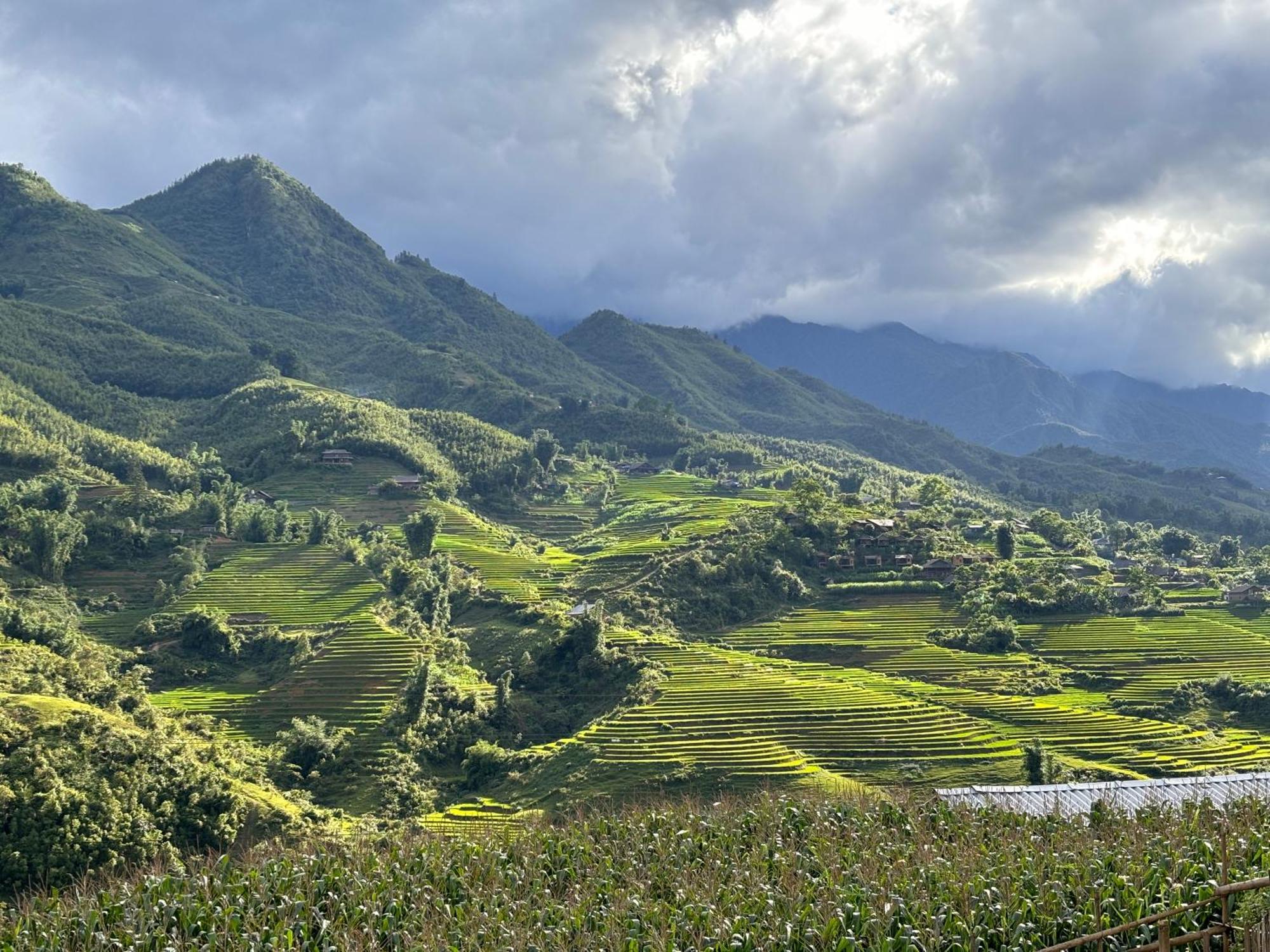 Sapa Tranquilla Lägenhet Exteriör bild